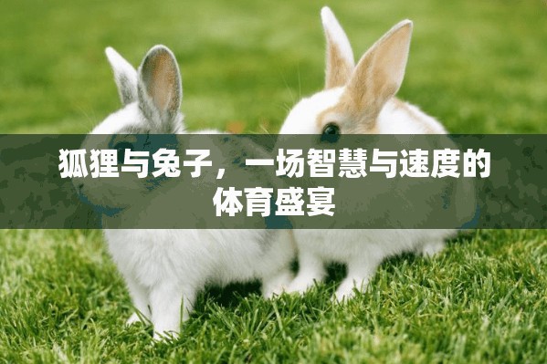 智慧與速度的較量，狐貍與兔子的體育盛宴
