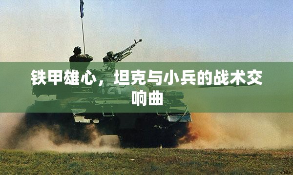 鐵甲雄心，坦克與小兵的戰(zhàn)術(shù)交響曲
