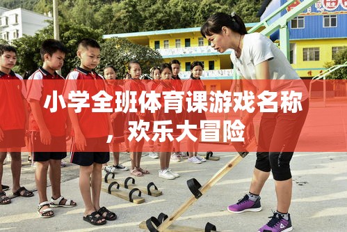 歡樂大冒險，小學全班的體育游戲盛宴
