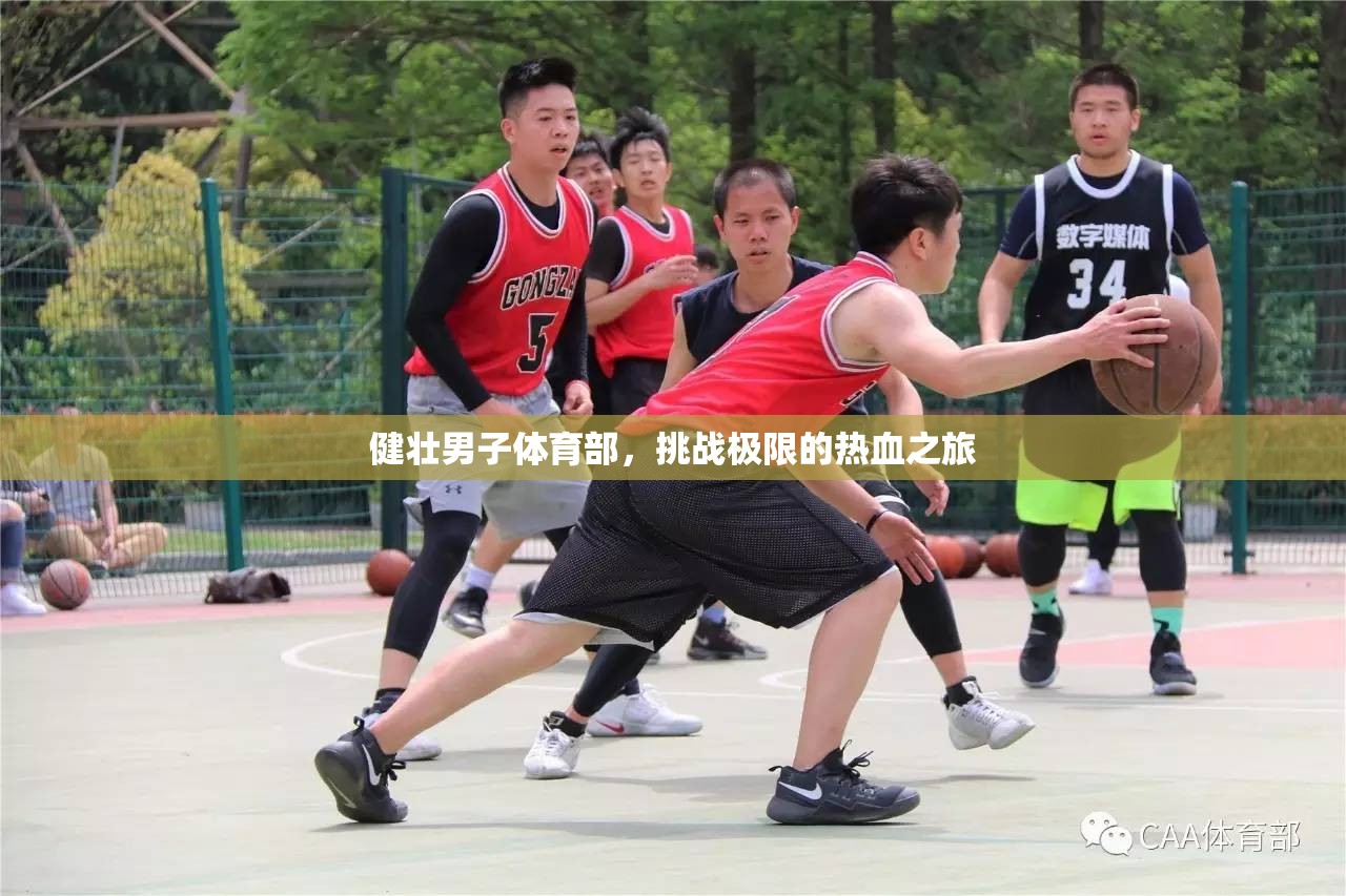 健壯男兒體育部，挑戰(zhàn)極限的熱血征程