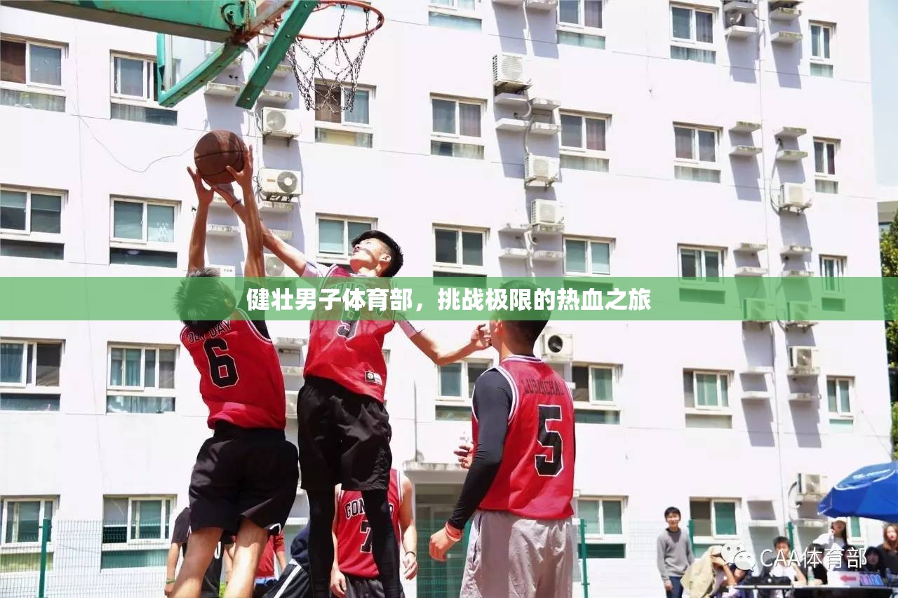 健壯男兒體育部，挑戰(zhàn)極限的熱血征程