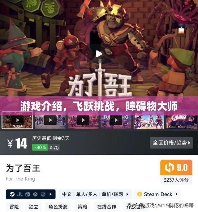 飛躍挑戰(zhàn)，障礙物大師——挑戰(zhàn)極限，超越自我