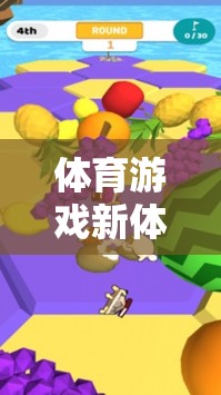 烏龜運書，解鎖體育游戲新體驗的趣味之旅
