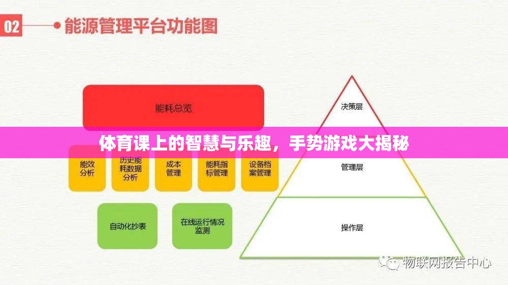 體育課上的智慧與樂趣，手勢游戲大揭秘