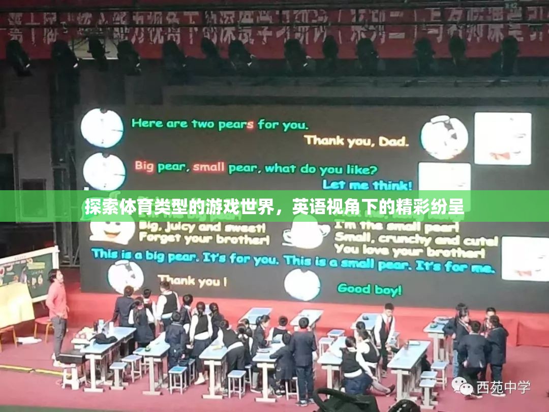 英語視角下的體育游戲世界，探索與精彩