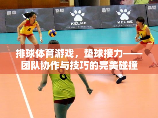 墊球接力，排球體育游戲中的團(tuán)隊(duì)協(xié)作與技巧碰撞