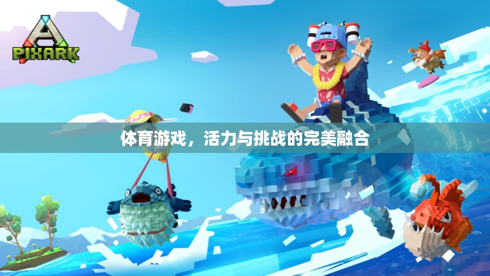 活力與挑戰(zhàn)，體育游戲中的完美融合
