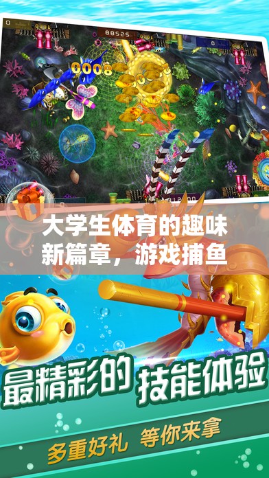 大學(xué)生體育的趣味新篇章，游戲捕魚