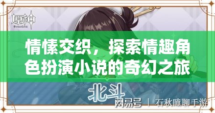 情愫迷宮，探索情趣角色扮演小說的奇幻之旅