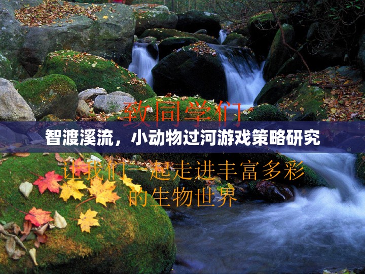 智渡溪流，小動物過河游戲策略的探索與優(yōu)化  第1張