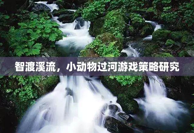智渡溪流，小動物過河游戲策略的探索與優(yōu)化  第2張