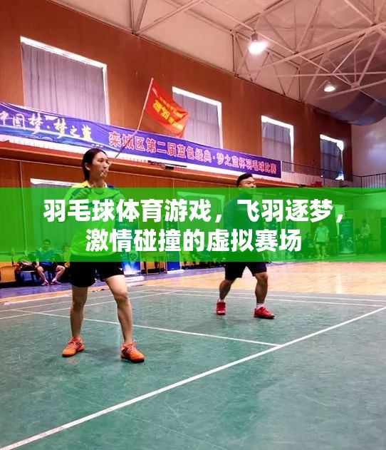 羽毛球體育游戲，飛羽逐夢，激情碰撞的虛擬賽場