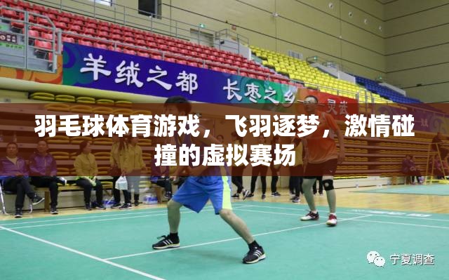 羽毛球體育游戲，飛羽逐夢，激情碰撞的虛擬賽場