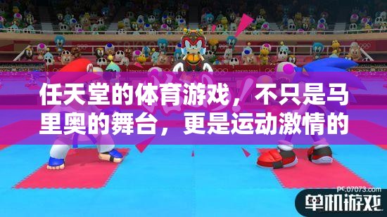 任天堂體育游戲，馬里奧之外的激情樂園