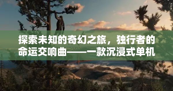 獨行者的奇幻命運交響，沉浸式單機角色扮演游戲ID的探索之旅
