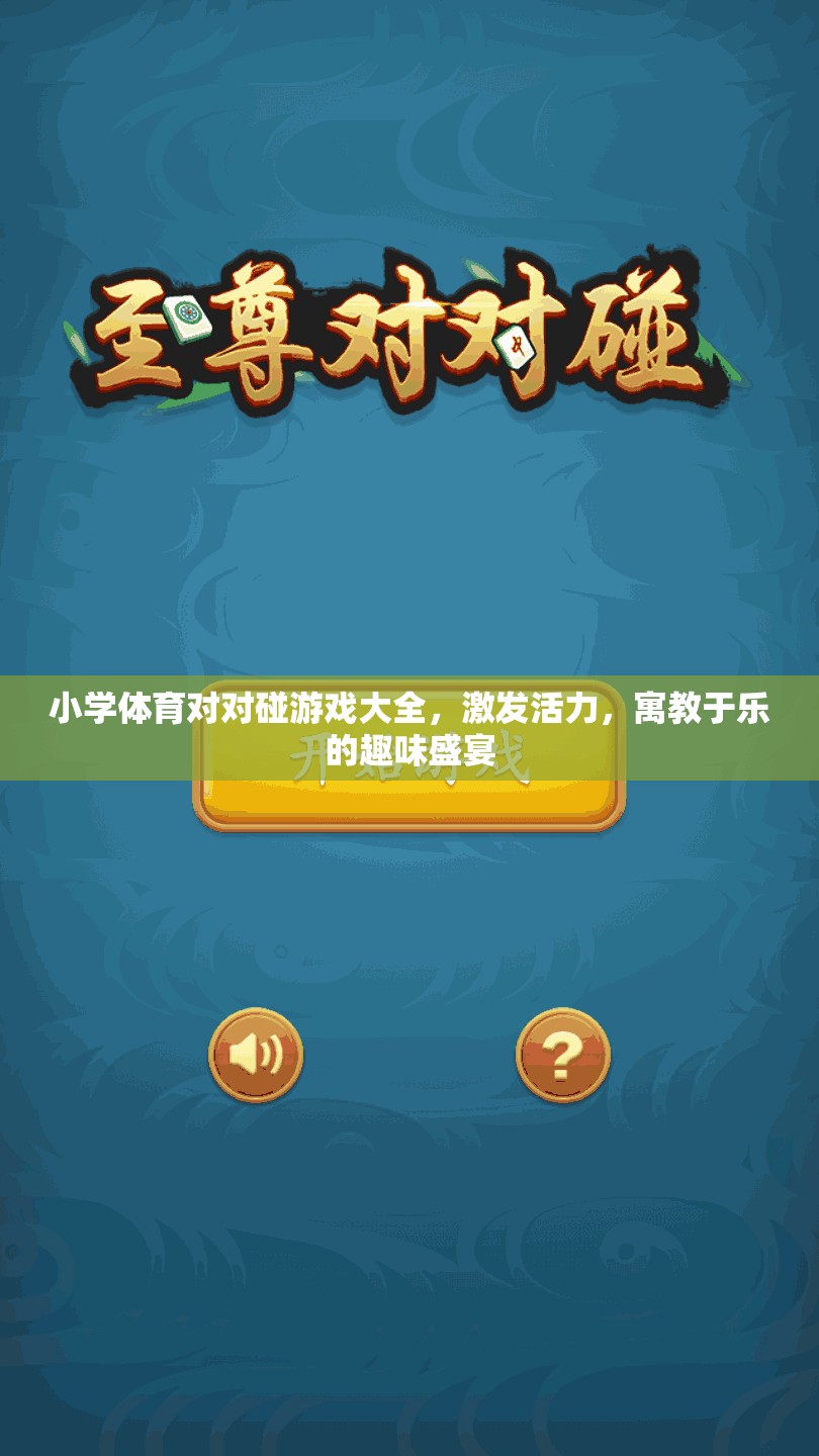 小學(xué)體育對(duì)對(duì)碰游戲大全，激發(fā)活力，寓教于樂(lè)的趣味盛宴