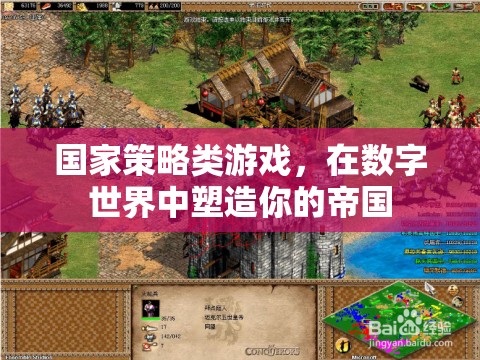 數(shù)字帝國，國家策略游戲中的策略塑造