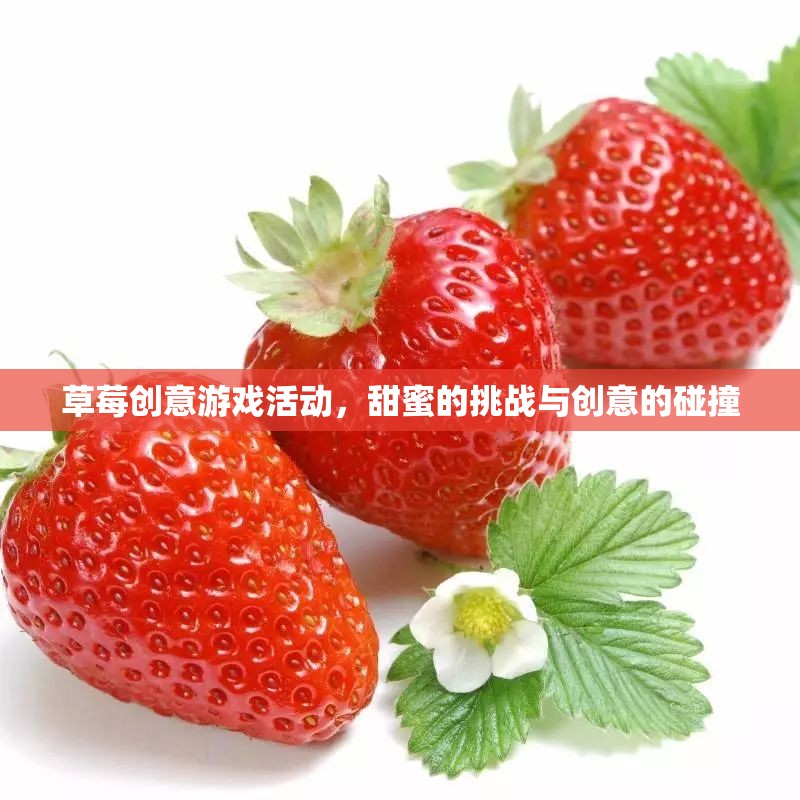 草莓創(chuàng)意游戲，甜蜜挑戰(zhàn)與創(chuàng)意的火花碰撞