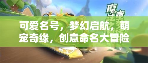 萌寵奇緣，創(chuàng)意命名大冒險(xiǎn)