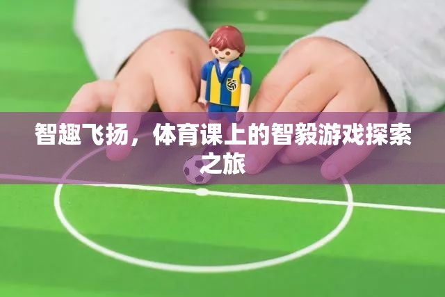 智趣飛揚(yáng)，體育課上的智毅游戲探索之旅