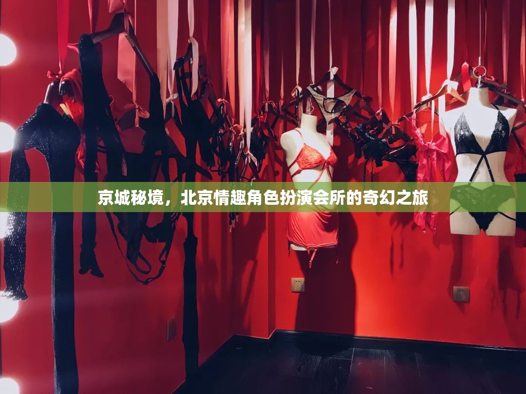 京城秘境，北京情趣角色扮演會所的奇幻探索之旅