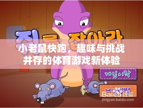小老鼠快跑，趣味與挑戰(zhàn)并存的體育游戲新體驗