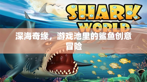 深海奇緣，游戲池里的鯊魚創(chuàng)意冒險(xiǎn)
