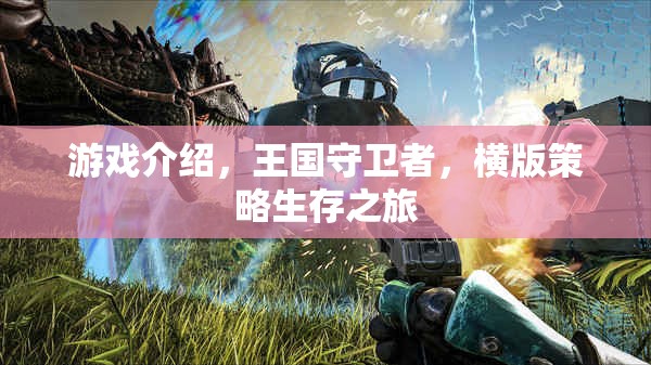 王國(guó)守衛(wèi)者，橫版策略生存之旅的精彩揭秘  第2張