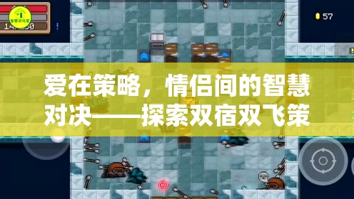 愛在策略，情侶間的智慧對決——探索雙宿雙飛策略小游戲的浪漫之旅