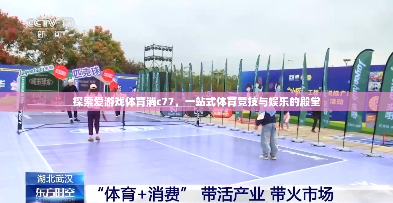 愛游戲體育淌c77，一站式體育競(jìng)技與娛樂的殿堂  第2張