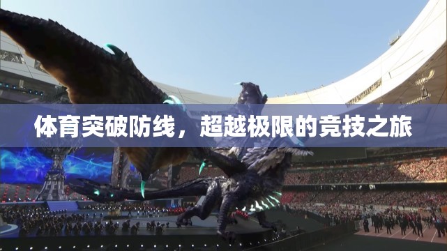 超越極限，體育競技的突破與挑戰(zhàn)之旅