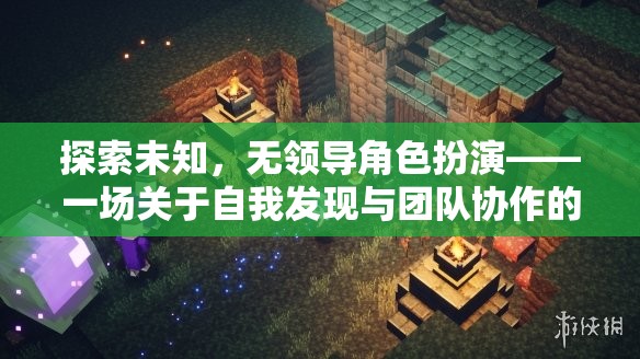 探索未知，無領(lǐng)導(dǎo)角色扮演——自我發(fā)現(xiàn)與團(tuán)隊(duì)協(xié)作的冒險(xiǎn)之旅