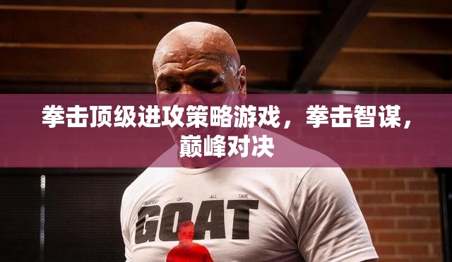 拳擊智謀，頂級進攻策略與巔峰對決的精彩碰撞