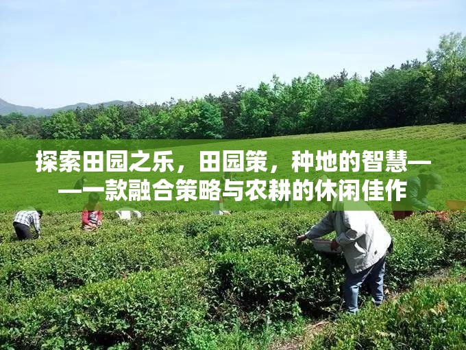 探索田園之樂，田園策，種地的智慧——一款融合策略與農(nóng)耕的休閑佳作