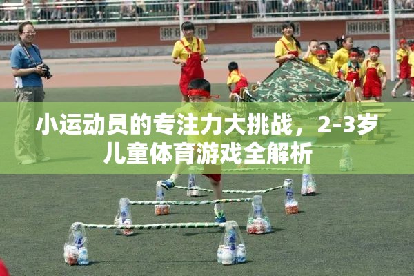 2-3歲兒童體育游戲，培養(yǎng)小運動員的專注力大挑戰(zhàn)  第2張