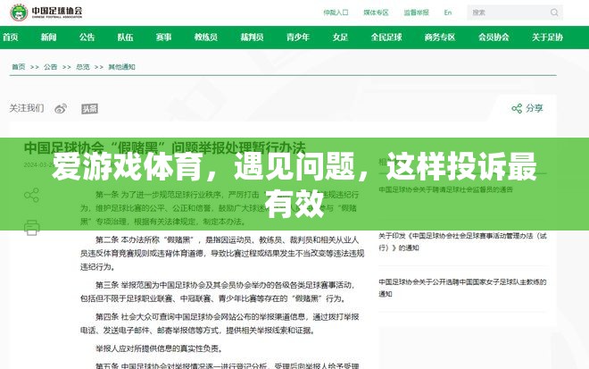 愛(ài)游戲體育問(wèn)題解決，如何進(jìn)行高效投訴