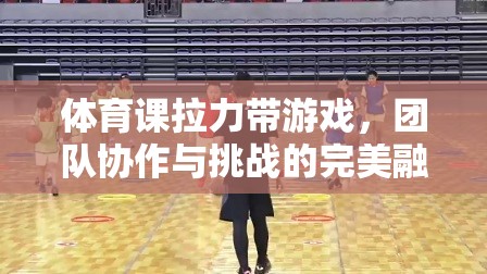 拉力帶游戲，團(tuán)隊(duì)協(xié)作與挑戰(zhàn)的完美融合
