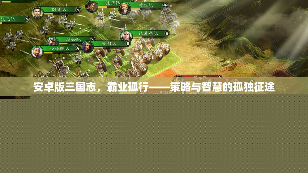 三國志安卓版，霸業(yè)孤行——策略與智慧的孤獨征途