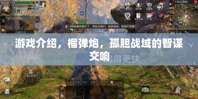 榴彈炮與智謀交響，孤膽戰(zhàn)域的戰(zhàn)術策略游戲