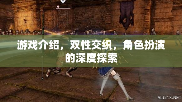 雙性交織的深度探索，角色扮演游戲中的性別與角色互動(dòng)