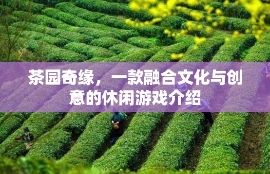 茶園奇緣，文化與創(chuàng)意的休閑游戲之旅
