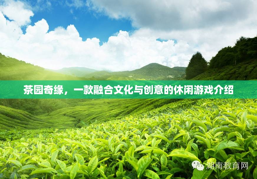 茶園奇緣，文化與創(chuàng)意的休閑游戲之旅