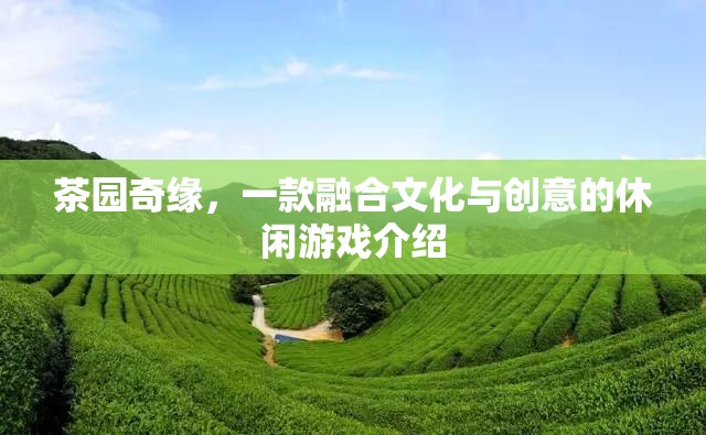 茶園奇緣，文化與創(chuàng)意的休閑游戲之旅