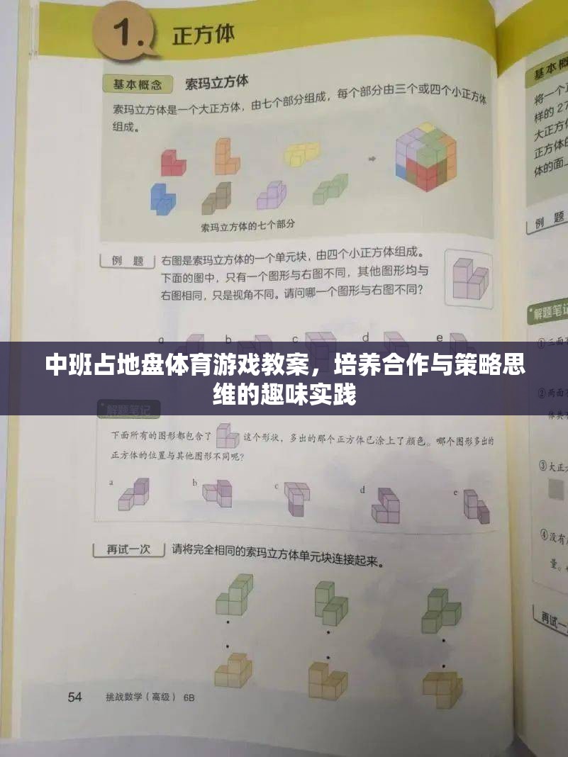 中班占地盤(pán)體育游戲，培養(yǎng)合作與策略思維的趣味實(shí)踐
