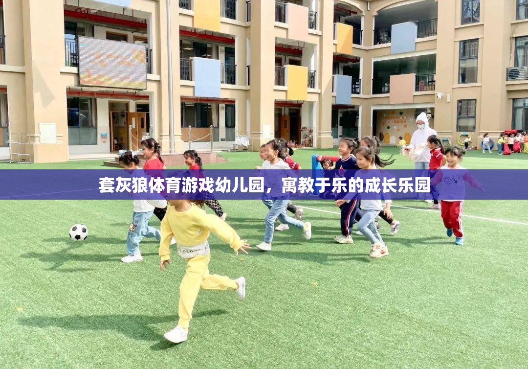 套灰狼體育游戲幼兒園，寓教于樂的成長樂園