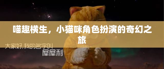 喵趣橫生，小貓咪的奇幻角色扮演之旅