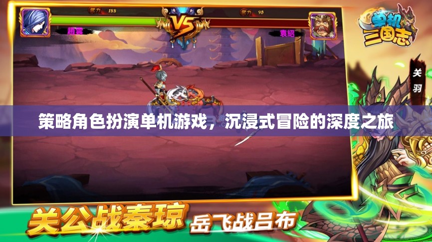 策略與冒險(xiǎn)的深度融合，沉浸式單機(jī)角色扮演游戲之旅