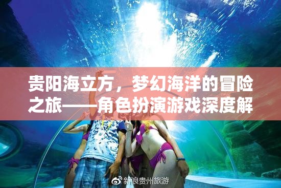 貴陽海立方，解鎖夢幻海洋的冒險之旅——角色扮演游戲深度解析