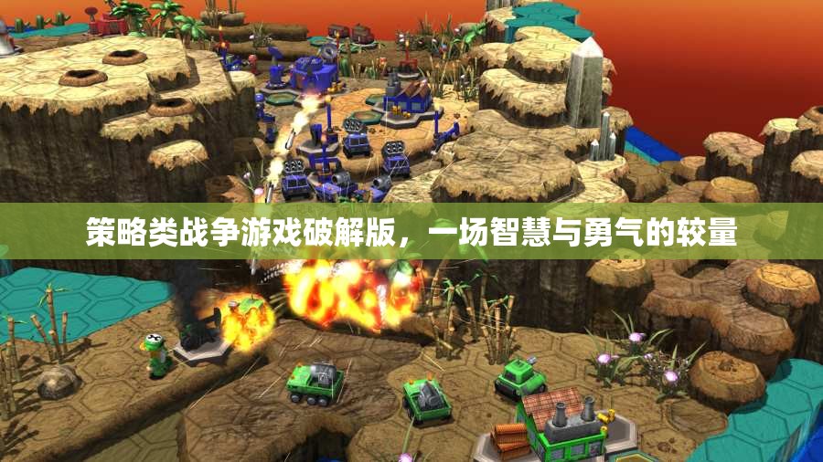 智慧與勇氣的較量，策略類戰(zhàn)爭(zhēng)游戲破解版