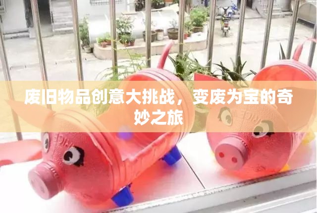 廢舊物品創(chuàng)意大挑戰(zhàn)，變廢為寶的奇妙之旅